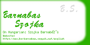 barnabas szojka business card